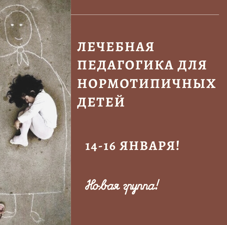Очередной семинар из цикла "Лечебная педагогика для нормотипичных детей", Санкт-Петербург
